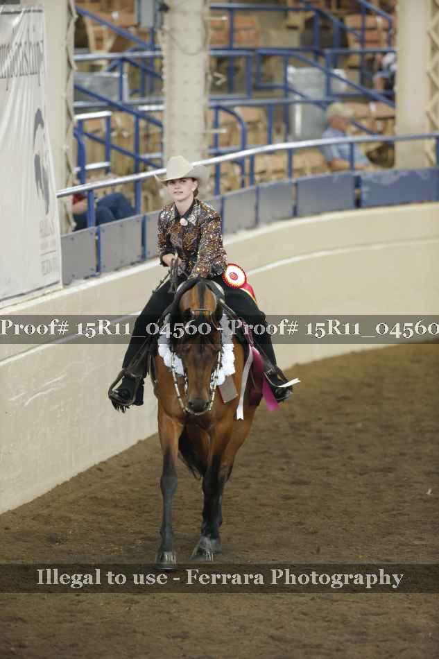 Proof 15R11_04560