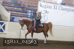 15R11_04563 proof