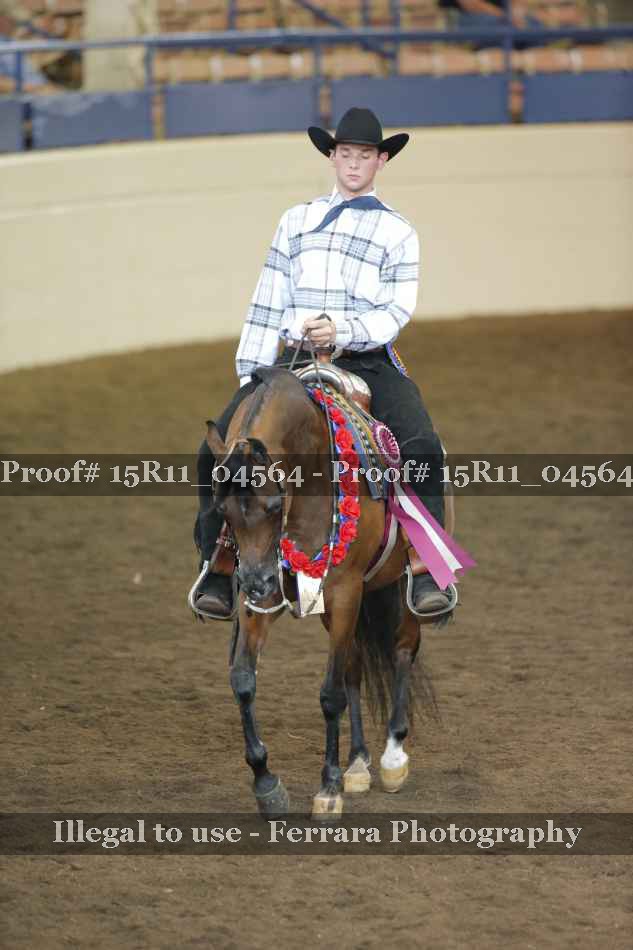 Proof 15R11_04564