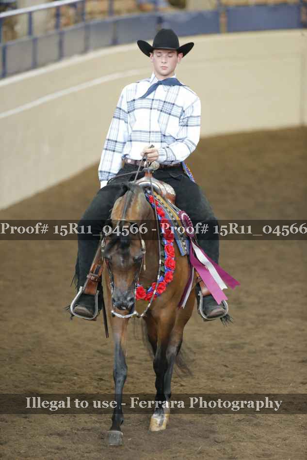 Proof 15R11_04566