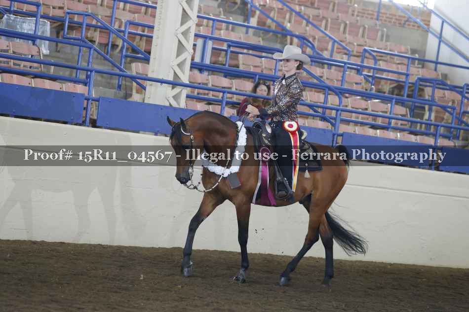 Proof 15R11_04567
