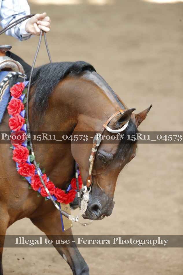 Proof 15R11_04573