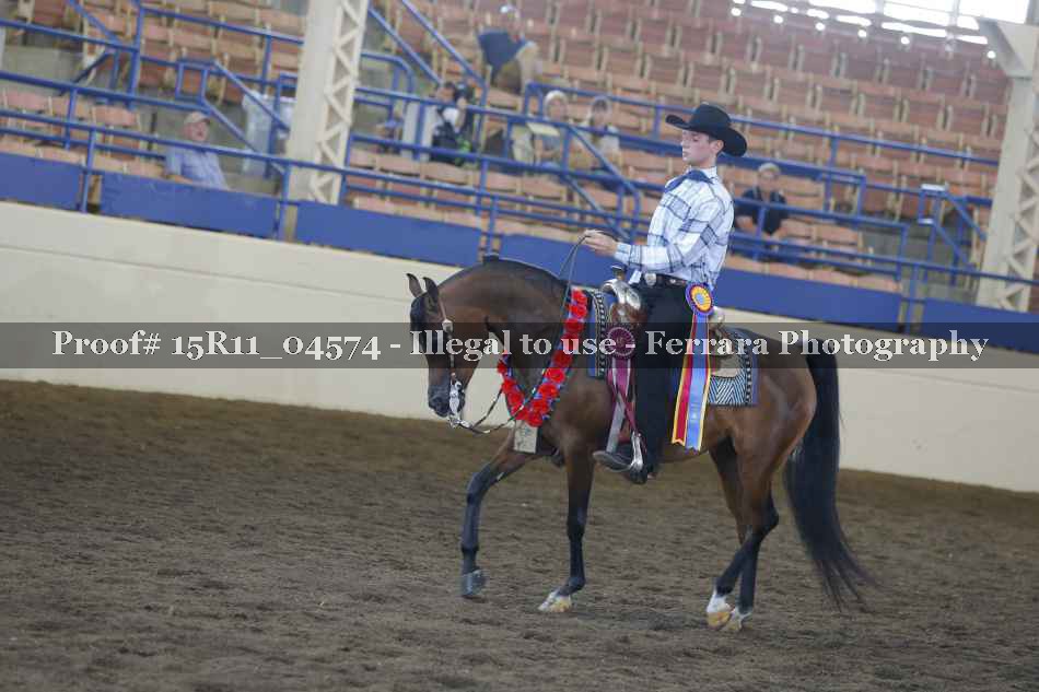 Proof 15R11_04574