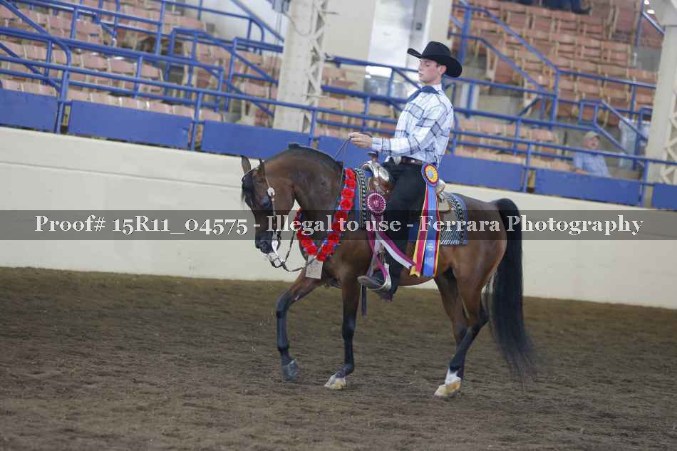 Proof 15R11_04575