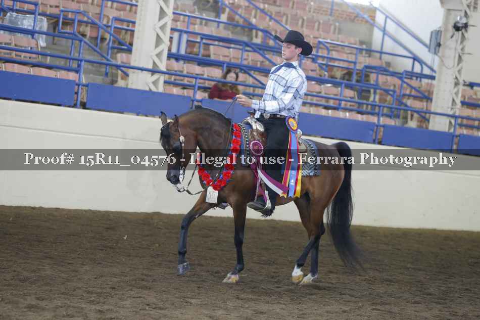 Proof 15R11_04576