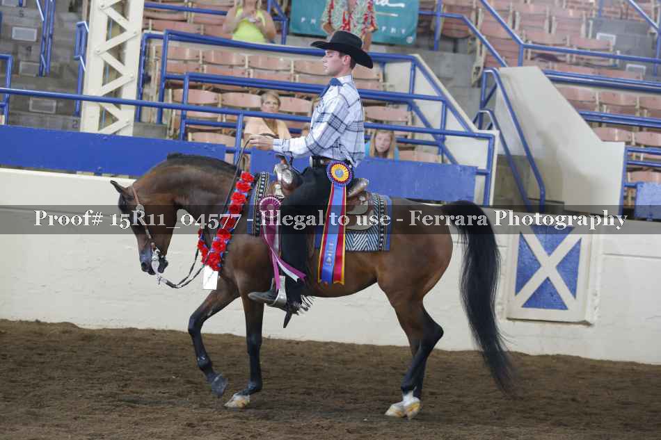 Proof 15R11_04577