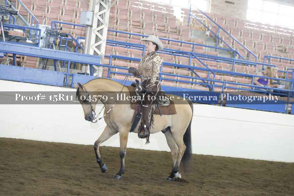 Proof 15R11_04579
