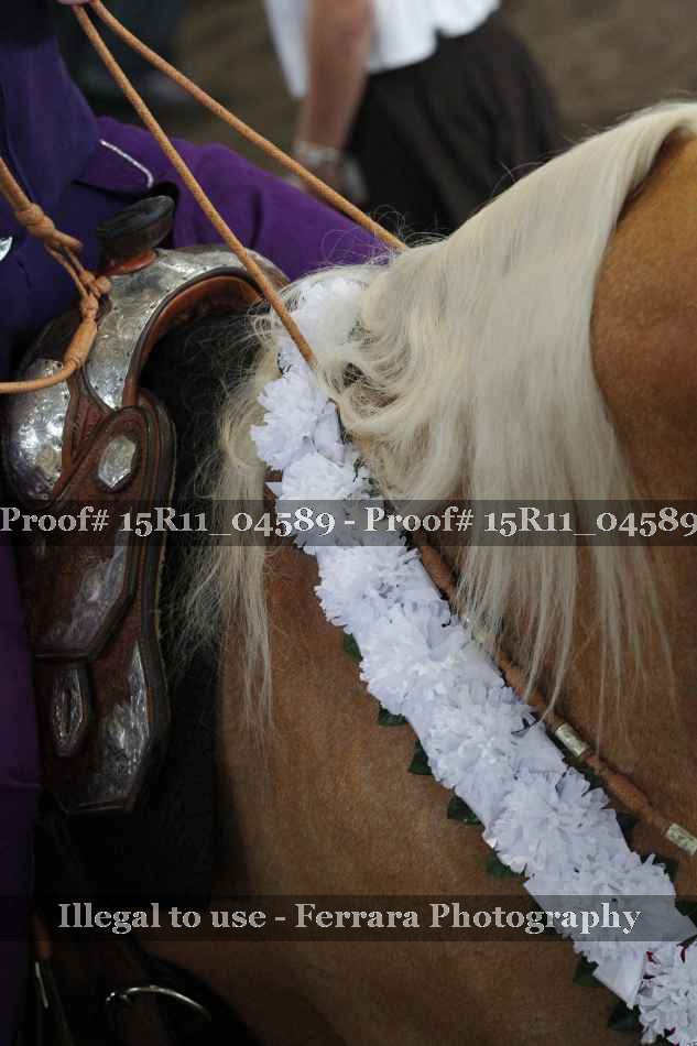 Proof 15R11_04589
