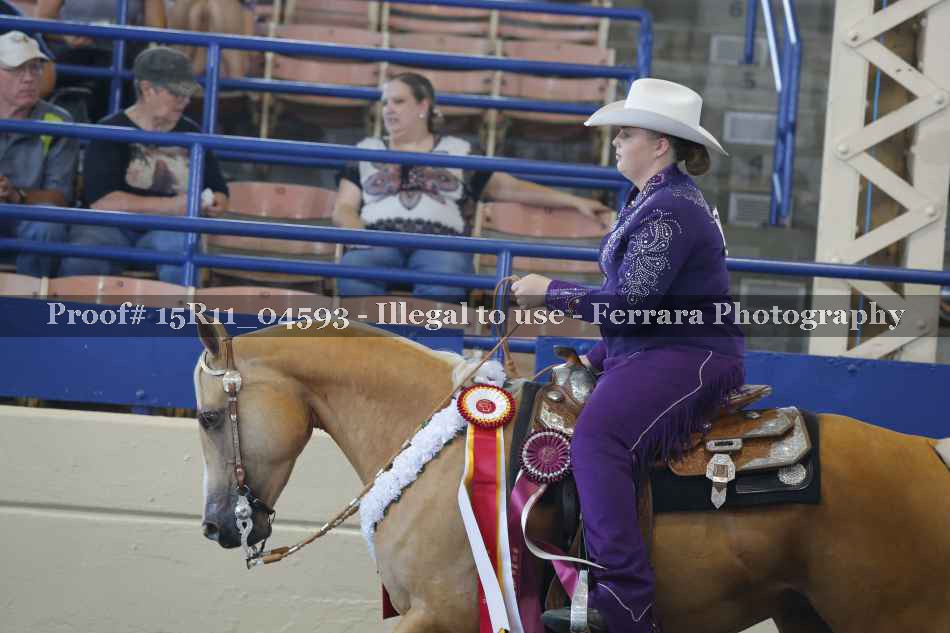 Proof 15R11_04593