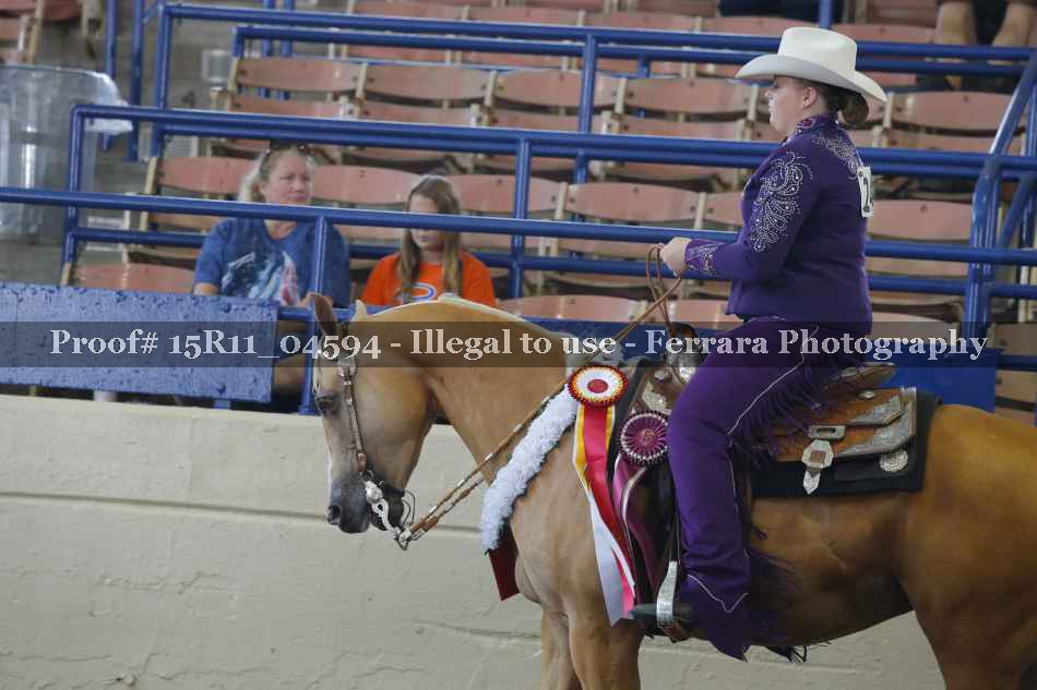 Proof 15R11_04594