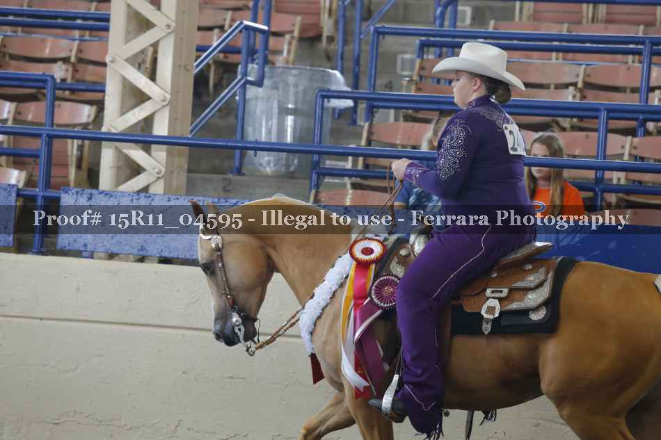 Proof 15R11_04595
