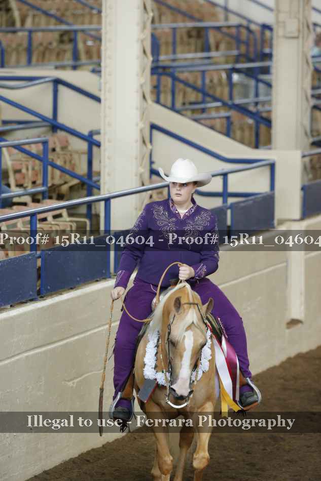 Proof 15R11_04604