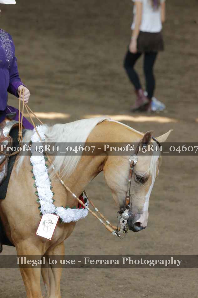 Proof 15R11_04607
