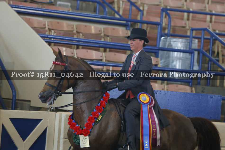 Proof 15R11_04642