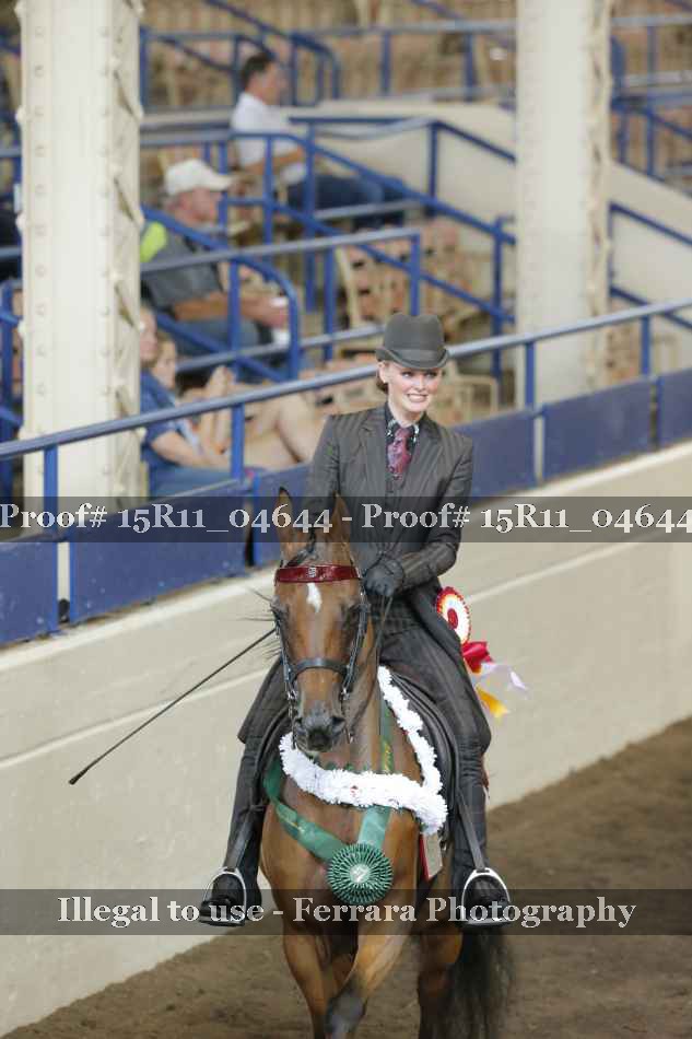Proof 15R11_04644