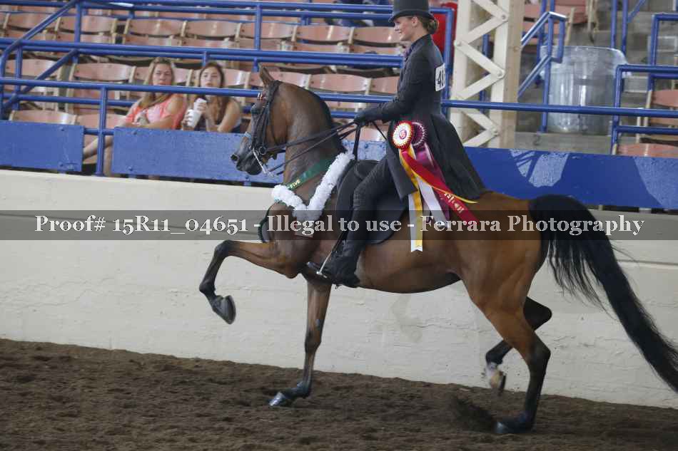 Proof 15R11_04651