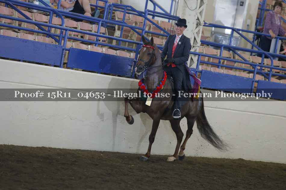 Proof 15R11_04653