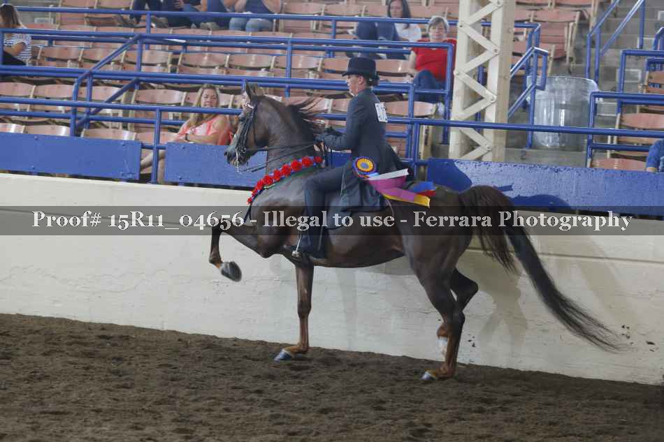 Proof 15R11_04656