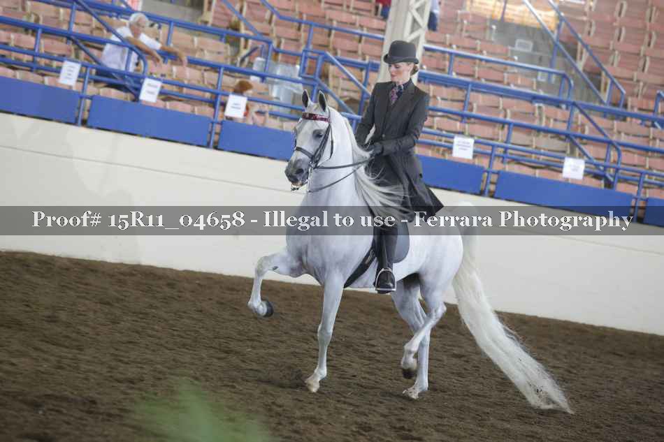 Proof 15R11_04658