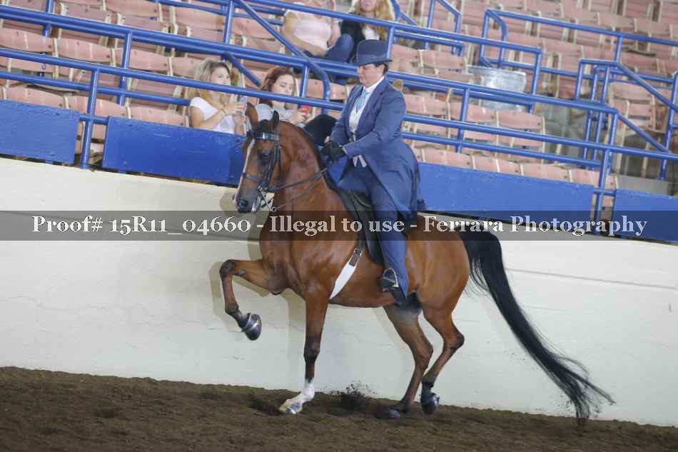 Proof 15R11_04660
