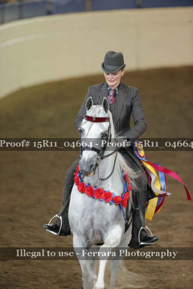 Proof 15R11_04664