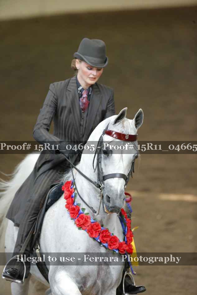 Proof 15R11_04665