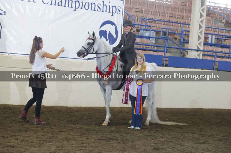 Proof 15R11_04666