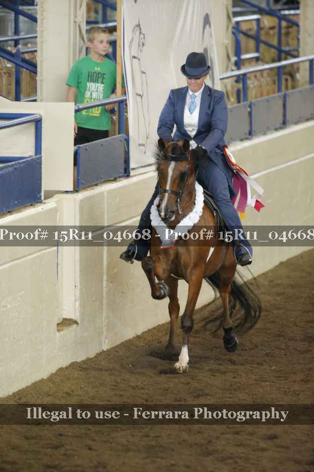 Proof 15R11_04668