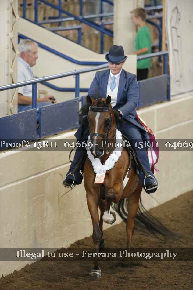Proof 15R11_04669