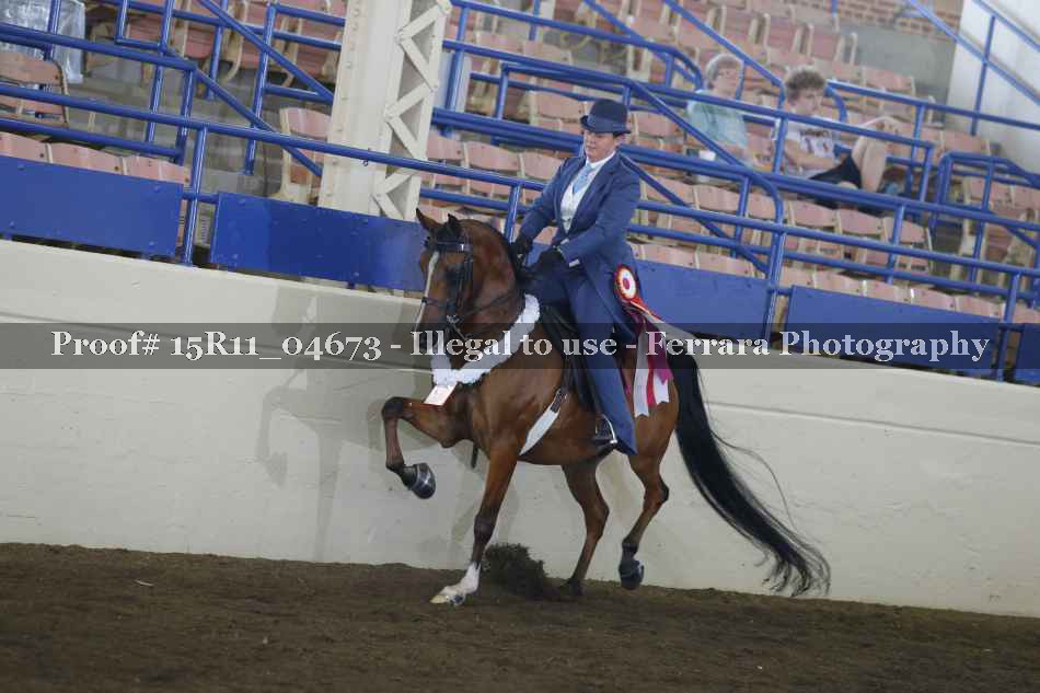 Proof 15R11_04673