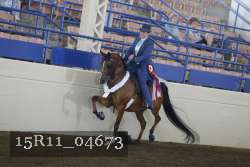 15R11_04673 proof
