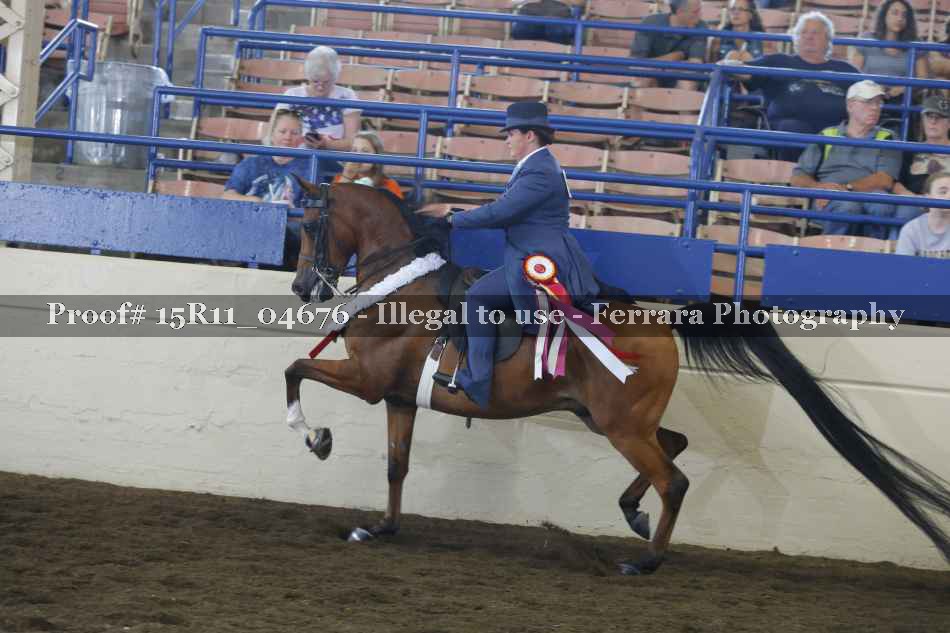 Proof 15R11_04676
