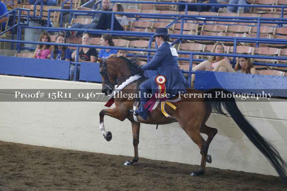 Proof 15R11_04677
