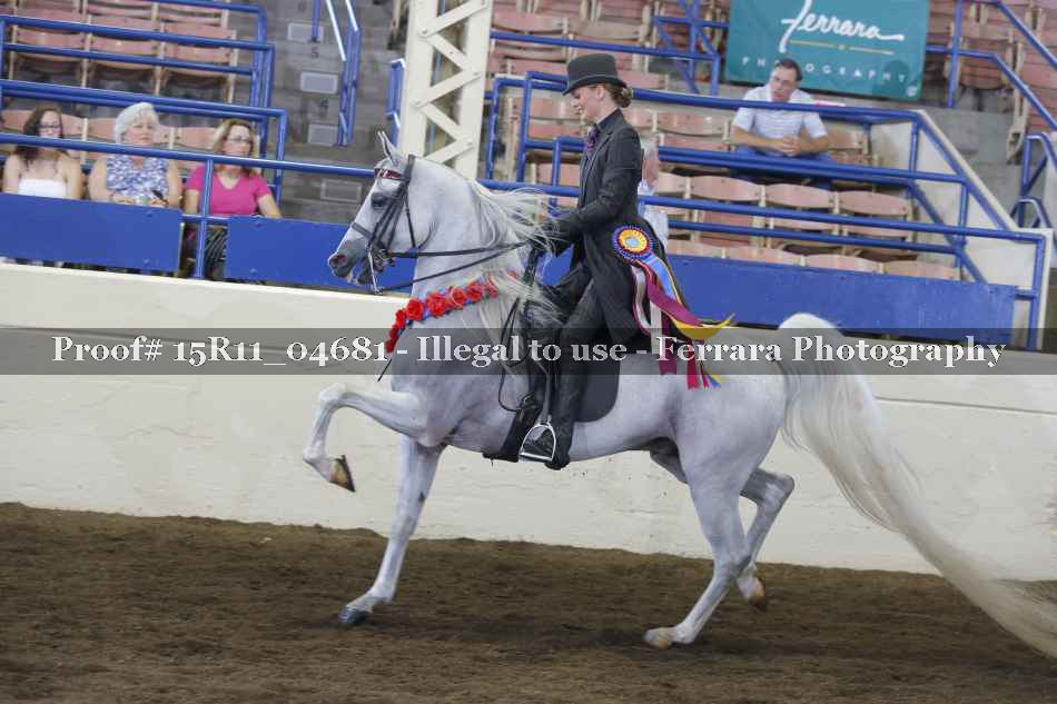 Proof 15R11_04681