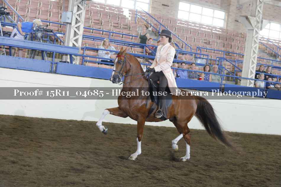 Proof 15R11_04685