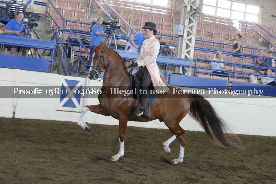 Proof 15R11_04686