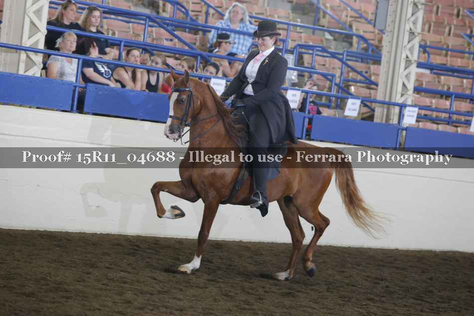 Proof 15R11_04688