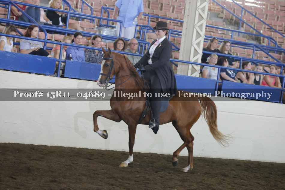 Proof 15R11_04689