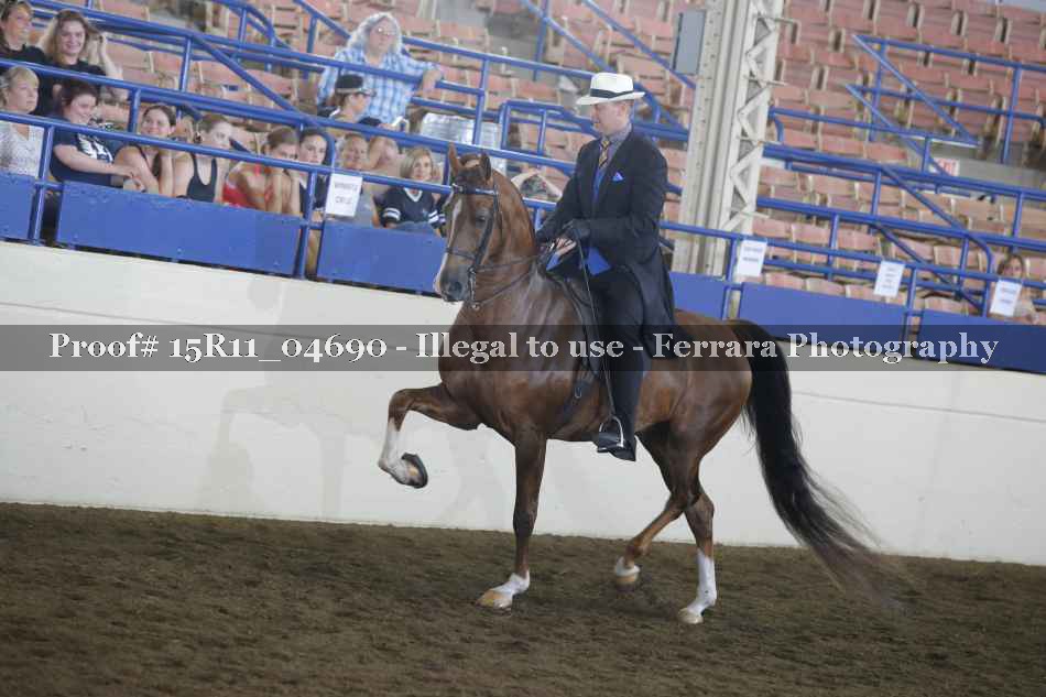 Proof 15R11_04690