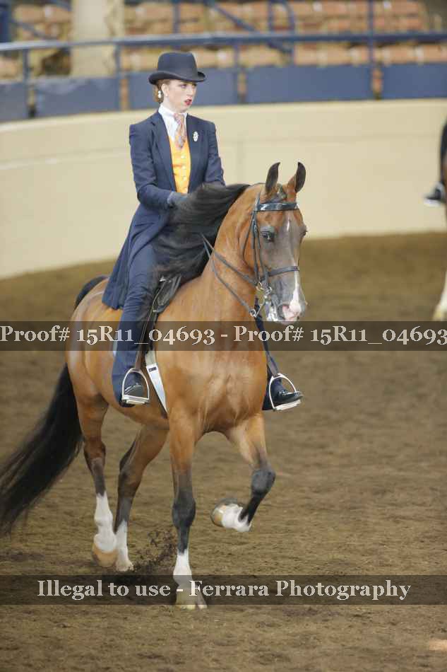 Proof 15R11_04693