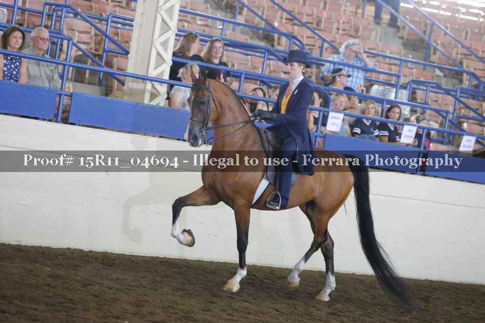 Proof 15R11_04694