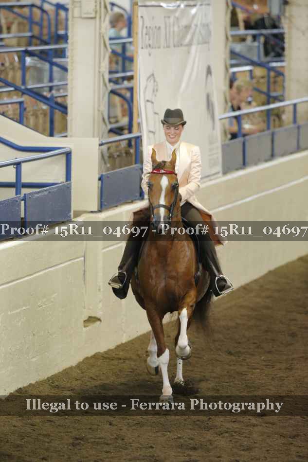 Proof 15R11_04697
