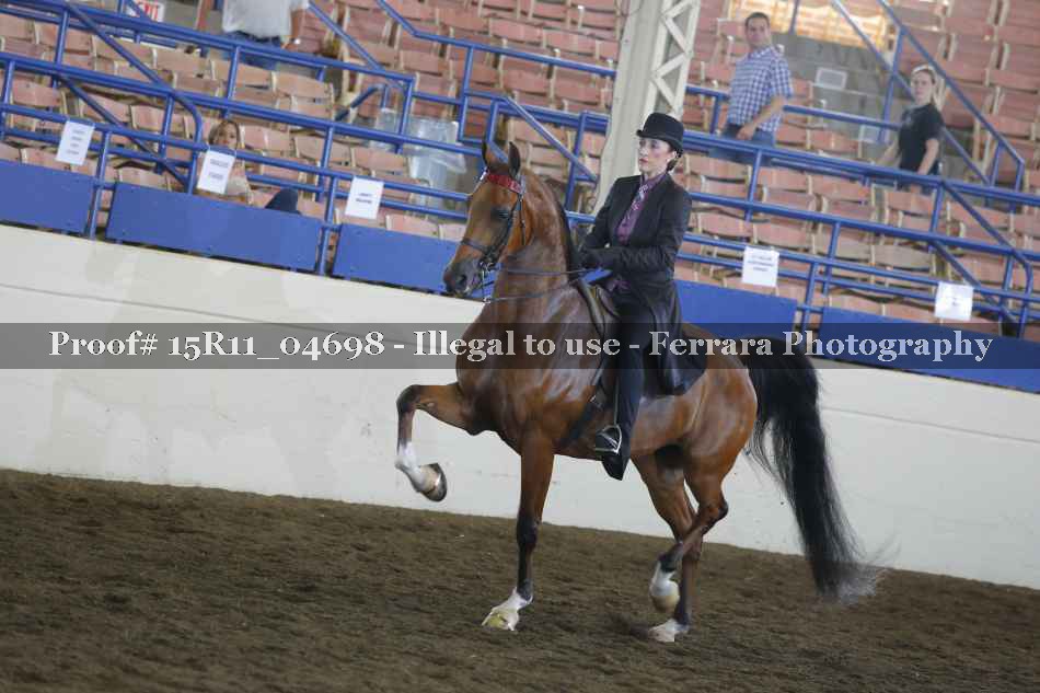 Proof 15R11_04698