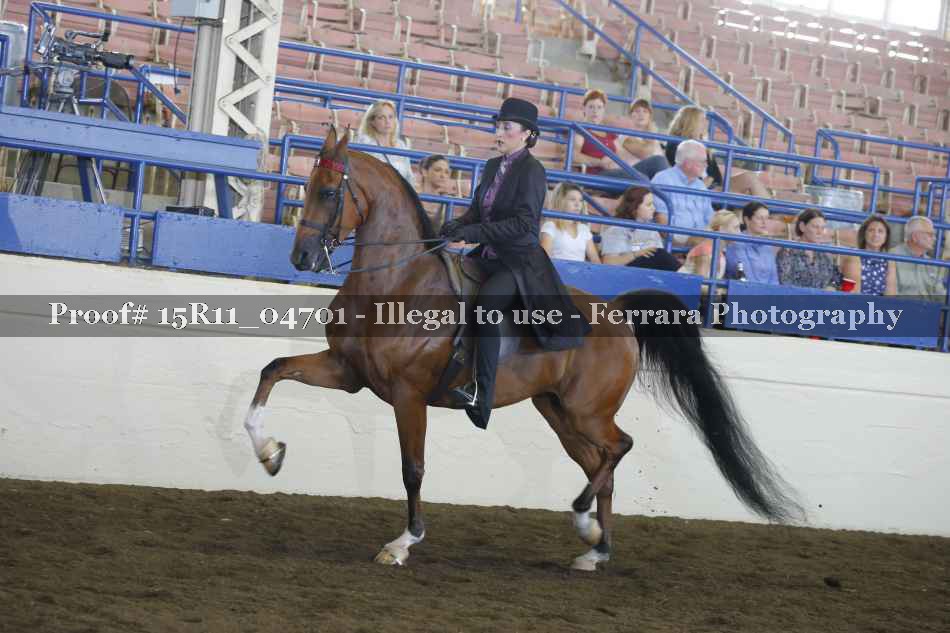 Proof 15R11_04701