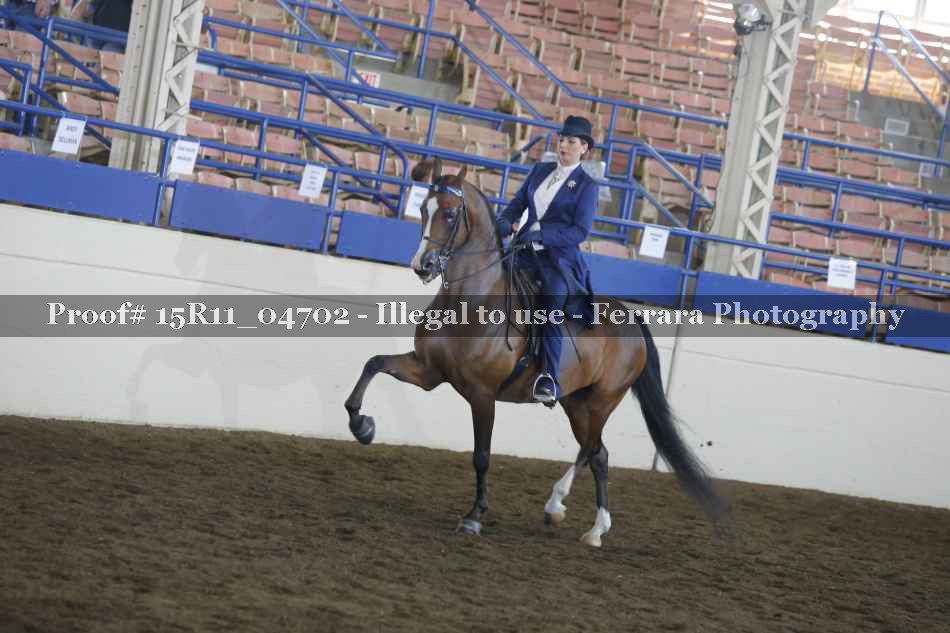 Proof 15R11_04702