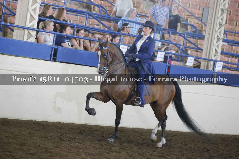 Proof 15R11_04703