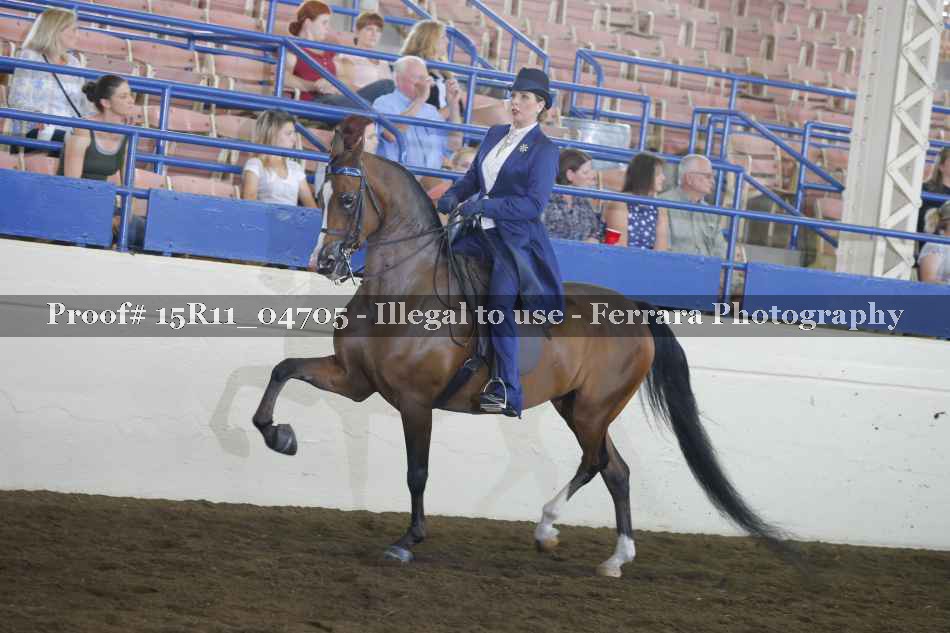 Proof 15R11_04705