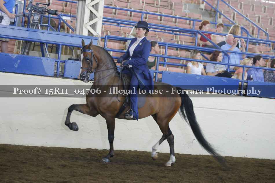 Proof 15R11_04706