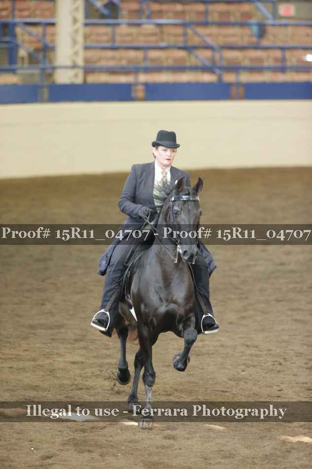 Proof 15R11_04707