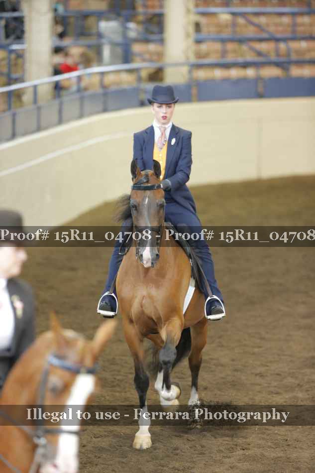 Proof 15R11_04708